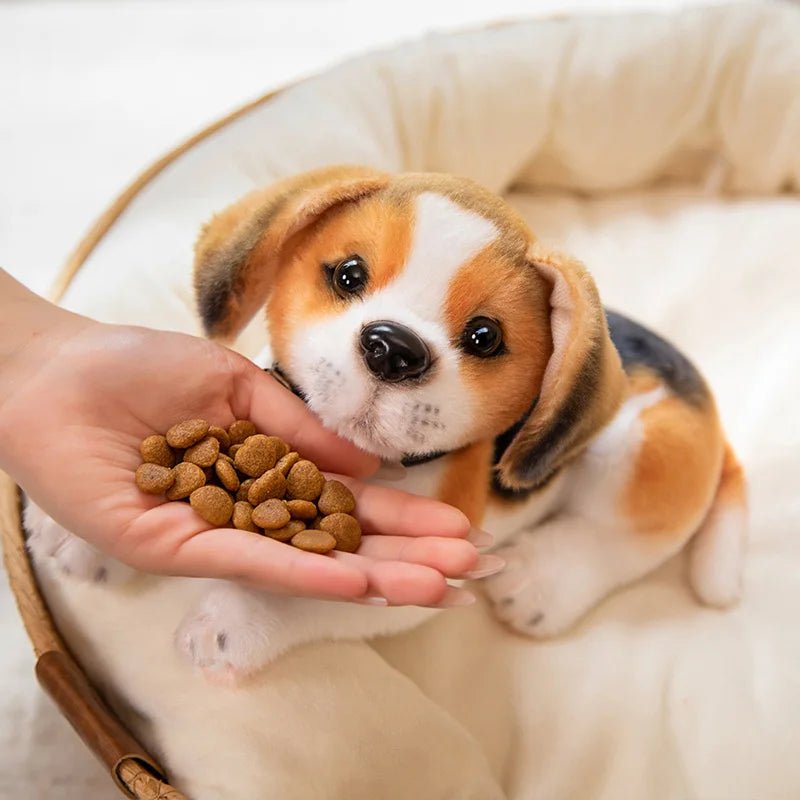 Realistyczny pluszowy piesek, beagle z karmą